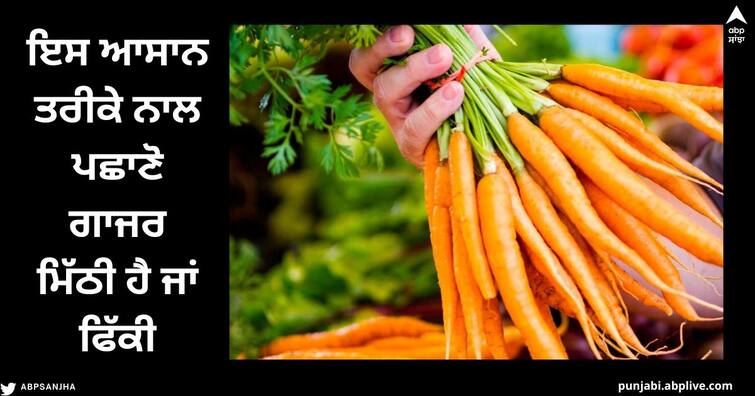 Carrot Buying Tips: With this easy hack, recognize from the outside whether the carrot is sweet or bitter? Carrot Buying Tips : ਇਸ ਆਸਾਨ ਹੈਕ ਨਾਲ ਬਾਹਰ ਤੋਂ ਪਛਾਣੋ ਗਾਜਰ ਮਿੱਠੀ ਹੈ ਜਾਂ ਕੌੜੀ ?