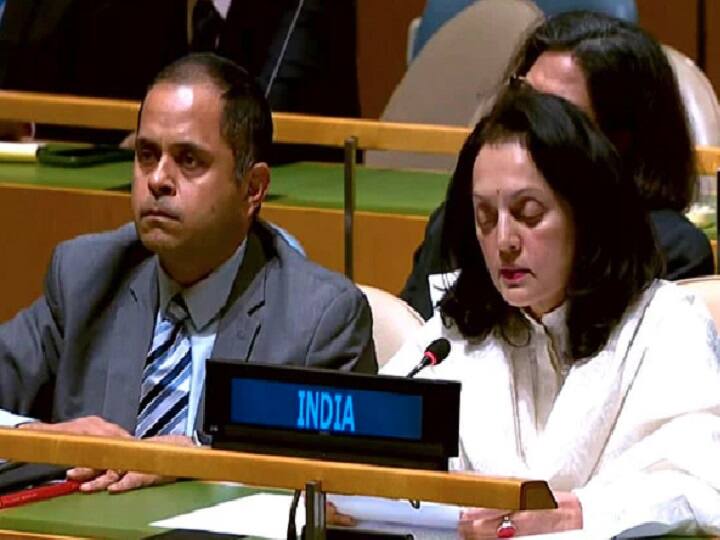 UN Meeting india slam pakistan deserves perhaps some sympathy UN Meeting : 
