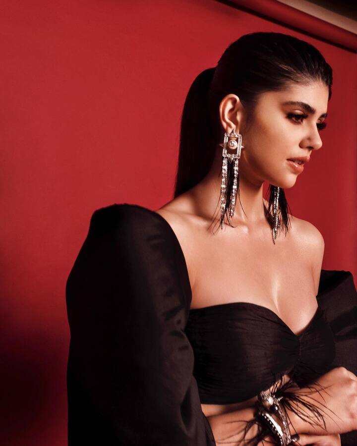 अभिनेत्रीने पुन्हा एकदा तिच्या लेटेस्ट फोटोशूटने सर्वांना थक्क केले आहे. (फोटो सौजन्य : sanjanasanghi96/इंस्टाग्राम)