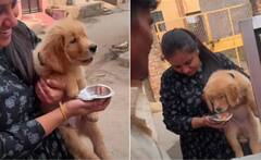 Viral Video: ਔਰਤ ਨੇ ਕੁੱਤੇ ਨੂੰ ਖੁਆਇਆ ਗੋਲਗੱਪਾ, ਜਨਤਾ ਨੇ ਲਗਾਈ ਜ਼ਬਰਦਸਤ ਕਲਾਸ