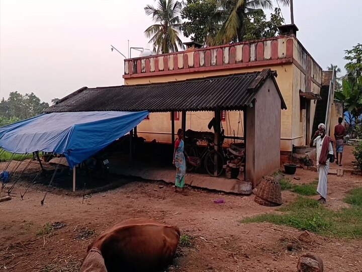 தீவன நீரை குடித்த பசு மாடுகள் அடுத்தடுத்து சுருண்டு விழுந்து உயிரிழப்பு - வேடசந்தூர் அருகே சோகம்