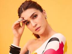 कृति सेनन से पैपराजी ने पूछा- 'क्या कोई पार्टनर नहीं है'? एक्ट्रेस ने तपाक से दिया ये जवाब