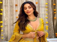 Sophie Choudry Photos: ముద్దబంతి పువ్వులా సోఫీ