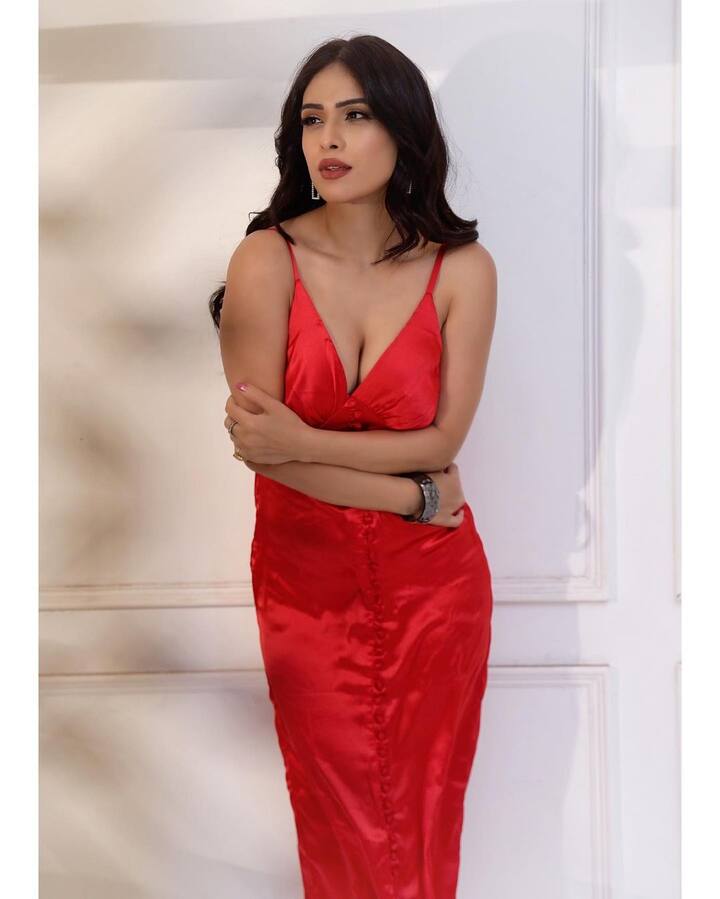 આ તસવીરોમાં નેહા મલિકનો કાતિલ અંદાજ જોવા મળી રહ્યો છે. નેહાએ અલગ-અલગ અંદાજમાં પોઝ આપ્યા છે.