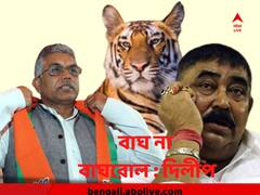 বাঘ না বাঘরোল ! ১১০ কেজি ওজন ৭৫ কেজি হয়ে যাবে, অনুব্রতকে দিলীপের কটাক্ষ
