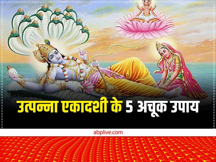 Utpanna Ekadashi 20 november 2022 Upay Five remedies to get blessings of lord vishnu Utpanna Ekadashi 2022: उत्पन्ना एकादशी पर इन कामों को करने से विष्णु जी की मिलती है कृपा, शत्रु होते हैं पराजित