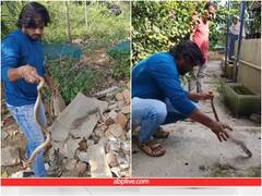 पत्थरों के बीच छुपे सांप का हैरतअंगेज रेस्क्यू, नंगे हाथों से उठाता दिखा शख्स