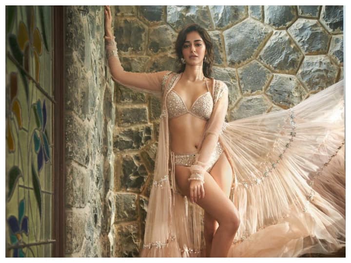 बॉलीवुड एक्ट्रेस अनन्या पांडे (Ananya Panday) ने इंस्टाग्राम पर अपनी कुछ लेटेस्ट फोटोशूट की तस्वीरें शेयर की हैं, जिनमें अनन्या का बिकिनी अवतार नजर आ रहा है.