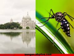 কবে শীতের কাঁপুনি শহরে ? ডেঙ্গি থেকে কবে মুক্তি ?
