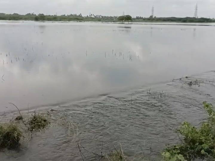 Karur Kaveri river is low in flow TNN கரூர் மாயனூர் கதவணைக்கு  தண்ணீர் வரத்து குறைவு