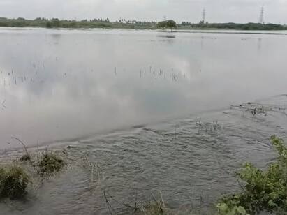 Karur Kaveri river is low in flow TNN கரூர் மாயனூர் கதவணைக்கு  தண்ணீர் வரத்து குறைவு