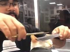 WATCH: Hairdresser Gives Cat A Trim, Netizens Call It 