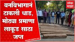 Nandurbar : वनविभागाचं वन तस्करांच्या विरोधात धाडसत्र, मोठ्या प्रमाणत लाकूड साठा जप्त