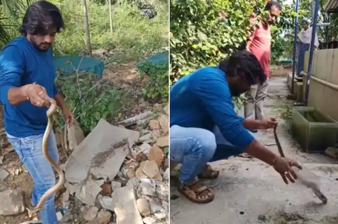 person rescuing snake in a surprising way video goes viral Video: ਪੱਥਰਾਂ ਵਿਚਕਾਰ ਛੁਪੇ ਸੱਪ ਨੂੰ ਬਚਾਇਆ, ਨੰਗੇ ਹੱਥਾਂ ਨਾਲ ਚੁੱਕਦਾ ਦੇਖਿਆ ਗਿਆ ਸੱਪ ਨੂੰ...
