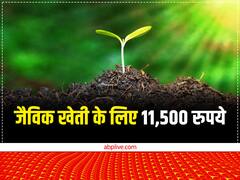 जैविक खेती के लिए मिलेंगे 11,500 रुपये प्रति एकड़, फ्री ऑर्गेनिक सर्टिफिकेशन भी देगी सरकार