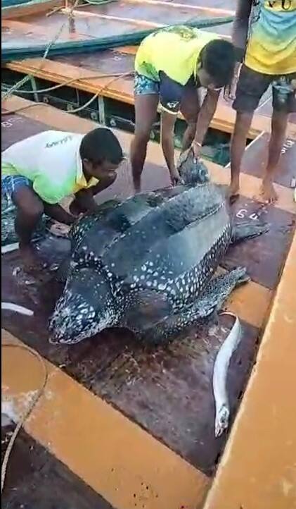 भाटे बंदर समुद्रकिनाऱ्यापासून 70 किमी आत 'याजक' ही बोट मासेमारी करत होती.