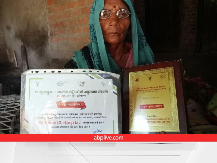 Success Story: खेतों में मजदूरी करके दादी मां बन गईं एक्सपर्ट, कर दिखाया वो काम कि मिलने लगे अवॉर्ड्स