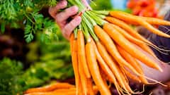 Carrot Buying Tips : ਗਾਜਰਾਂ ਖ਼ਰੀਦਣ ਤੋਂ ਪਹਿਲਾਂ ਯਾਦ ਰੱਖੋ ਇਹ ਗੱਲਾਂ, ਨਹੀਂ ਖਾਓਗੇ ਧੋਖਾ