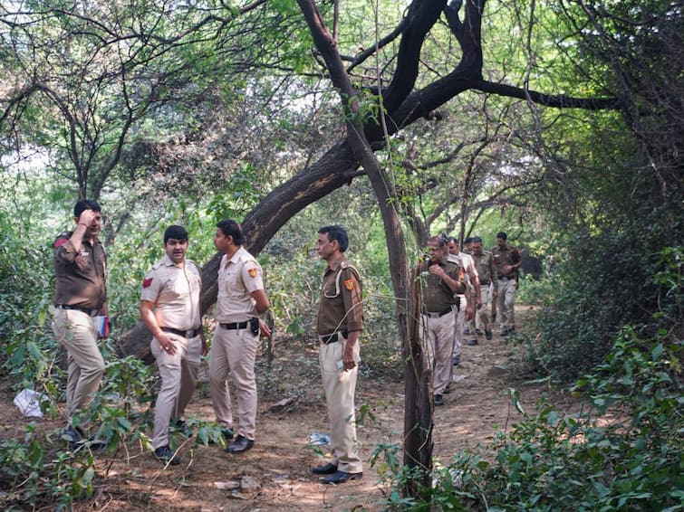 Mehrauli Killing: Multiple Police Teams Sent To Mumbai, Himachal; Some Body Parts Found In Gurugram