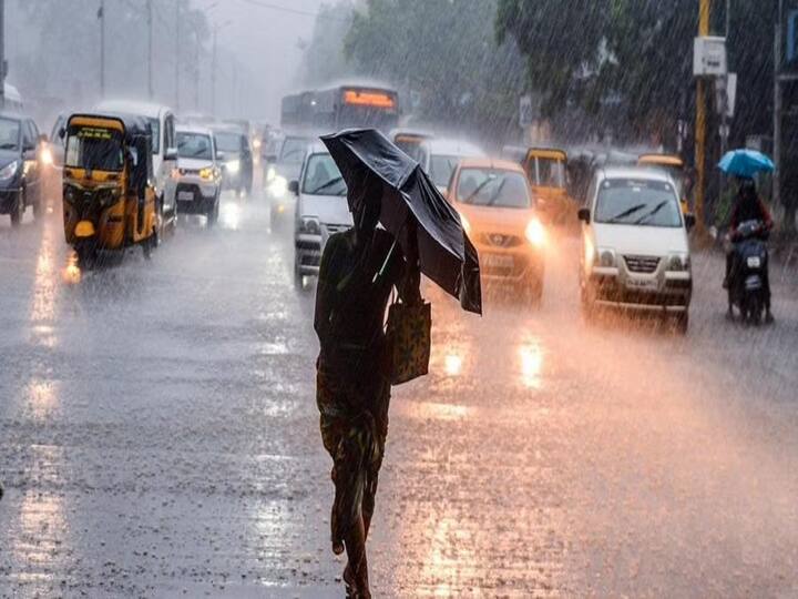 Tamil Nadu Weather Update Chances of Heavy Rain next 2 days - Chennai IMD TN Rain Alert: இன்றும், நாளையும் மழைக்கு வாய்ப்பு.. எந்த மாவட்டங்களில்? முழு அப்டேட் இதோ மக்களே..