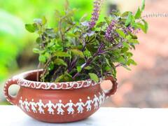 Tulsi Ke Niyam: તુલસીના પાન તોડતી વખતે ન કરો આવી ભૂલ, ઘરમાં નહીં રહે લક્ષ્મી