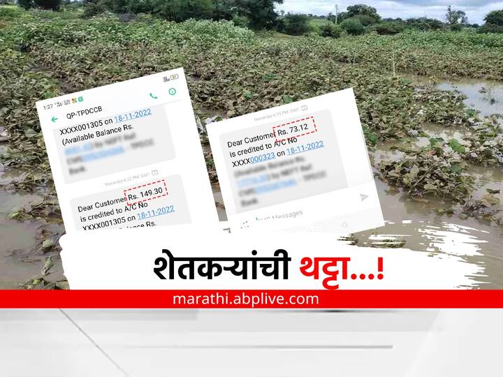 parbhani farmer crop insurance company helps to farmers maharashtra latest marathi news Parbhani : शेतकऱ्यांची थट्टा! कुणाला पावणेदोन रुपये तर कुणाला 70 रुपयांची मदत; शेतकरी आक्रमक 