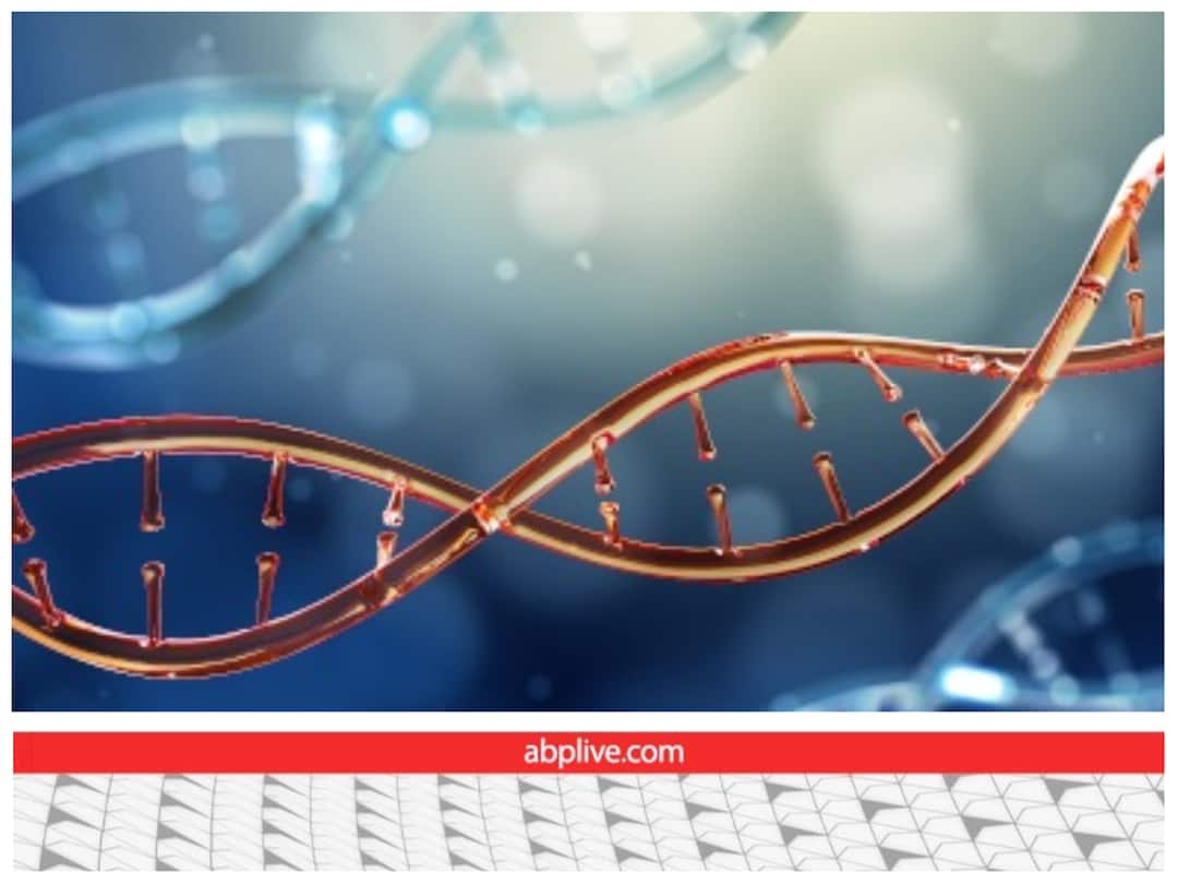 What is dna sampling full details about dna analysis क्या होती है DNA जांच?...ब्लड, मुंह की लार, बाल के अलावा शरीर के और किन हिस्सों से लिया जाता हैं सैंपल?