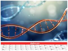 क्या होती है DNA जांच?...ब्लड, मुंह की लार, बाल के अलावा शरीर के और किन हिस्सों से लिया जाता हैं सैंपल?