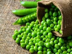 Peas Health Benefits : हिरवेगार वाटाणे खाण्याचे आहेत अनेक फायदे