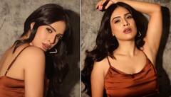 Neha Malik Photos : ਬ੍ਰਾਉਨ ਸ਼ਾਰਟ ਡਰੈੱਸ 'ਚ ਡਾਰਕ 'ਚਾਕਲੇਟ' ਬਣੀ ਨੇਹਾ ਮਲਿਕ, ਅਦਾਕਾਰਾ ਦੀ ਕਰਵੀ ਫਿਗਰ ਨੇ ਵਧਾਈ ਫ਼ੈਨਜ ਦੀ ਧੜਕਣ
