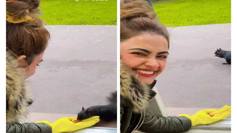 punjabi actress finds a cute friend in canada shares video on social media watch their cute bonding in video Simi Chahal: ਪੰਜਾਬੀ ਅਦਾਕਾਰਾ ਸਿੰਮੀ ਚਾਹਲ ਨੂੰ ਮਿਲਿਆ ਨਵਾਂ ਦੋਸਤ, ਵੀਡੀਓ ‘ਚ ਦੇਖੋ ਅਦਾਕਾਰਾ ਦਾ ਕਿਊਟ ਦੋਸਤ