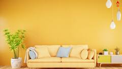 Vastu Rules: বাস্তু মেনে কীভাবে সাজাবেন লিভিং রুম ? রইল ফান্ডা