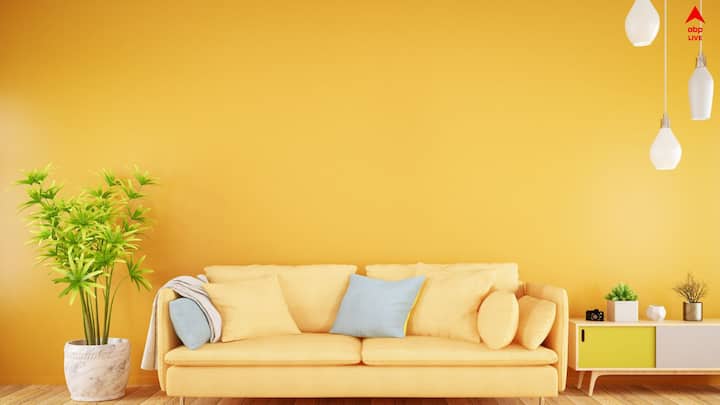 লিভিংরুমে সবসময় হালকা রং করাবেন। হলুদ, সাদা, ক্রিম, হালকা পিঙ্ক, হালকা নীল। দিনের শুরুতেই এই উজ্জ্বল রংয়ের প্রভাব পড়বে আপনার জীবনেও।