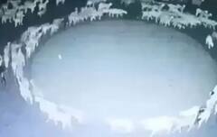 ਇੱਧਰ-ਉੱਧਰ ਘੁੰਮਣ ਵਾਲੀਆਂ ਭੇਡਾਂ 12 ਦਿਨਾਂ ਤੱਕ ਇੱਕ ਚੱਕਰ ਵਿੱਚ ਘੁੰਮਦੀਆਂ ਰਹੀਆਂ, ਵੀਡੀਓ ਦੇਖ ਲੋਕ ਰਹਿ ਗਈ ਹੈਰਾਨ