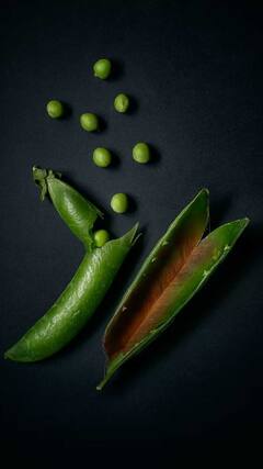 Peas Health Benefits : हिरवेगार वाटाणे खाण्याचे आहेत अनेक फायदे