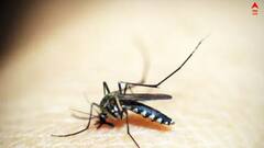 Dengue: রাজ্যে ভয়াবহ ডেঙ্গি পরিস্থিতি, কোনটা একদমই করবেন না ?
