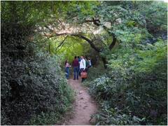 गुरुग्राम में मिला श्रद्धा के सिर वाला पैकेट? आफताब ने अब कहा- शरीर के 18 टुकड़े किए थे