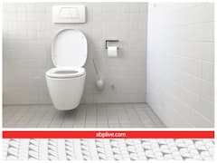 दिन में एक बार या दो बार? आपको कितनी बार टॉयलेट जाना चाहिए?