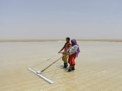 Salt Pan Workers Of Gujarat Pin Hope On Assembly Polls For Better Future