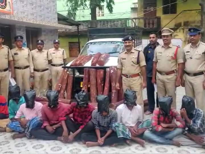 Chittoor Crime: Police arrested 9 Red Sandalwood smugglers in Chittoor District DNN Chittoor Crime: ఏపీ నుంచి తమిళనాడుకు ఎర్రచందనం స్మగ్లింగ్ - 9 మంది అరెస్టు, దుంగలు స్వాధీనం