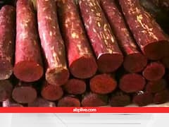 अब ओपन मार्केट में चंदन बेच पाएंगे यहां के किसान, इस हाईटेक आइडिया से अवैध तस्करी पर लगेगी लगाम