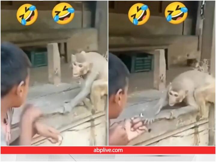 Monkey taught lesson to child who is teasing him Video: बार-बार छेड़ा तो बंदर के बच्चे को आया गुस्सा, लात मारकर ऐसे लिया बदला, देखें वीडियो