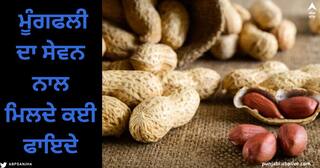 Healthy Lifestyle And Peanuts : ਟਾਈਮਪਾਸ ਲਈ ਨਹੀਂ ਕੀਤਾ ਜਾਂਦਾ ਮੂੰਗਫਲੀ ਦਾ ਸੇਵਨ, ਮਿਲਦੇ ਨੇ ਕਈ ਫਾਇਦੇ, ਜਾਣੋ