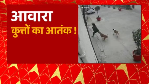 Ghaziabad : रामप्रस्थ ग्रीन सोसाइटी में 11 साल की बच्ची पर कुत्तों के झुंड ने किया हमला