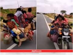 एक बाइक पर दो कुत्ते, घर का सामान और 7 लोग... ऐसी सवारी कभी नहीं देखी होगी