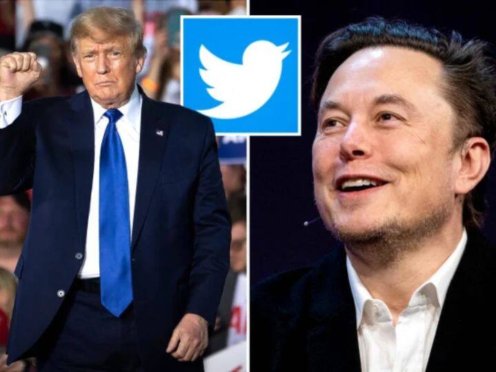 Donald Trump account reappears on Twitter after elon Musk reinstatement marathi news Twitter : ट्विटरवर डोनाल्ड ट्रम्प यांची पुन्हा एंट्री! एलॉन मस्कच्या सर्वेक्षणानंतर अकाऊंट सुरू