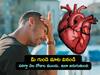 Heart Attack Symptoms: గుండెపోటు ముప్పును నెల రోజుల ముందే గుర్తించవచ్చు - ఈ లక్షణాలు కనిపిస్తే డాక్టర్ను కలవండి