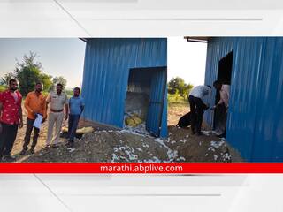 Aurangabad: औरंगाबादच्या सोयगावात 'पांढऱ्या सोन्या'वर चोरट्यांचा डल्ला, एक लाखाचा कापूस चोरीला
