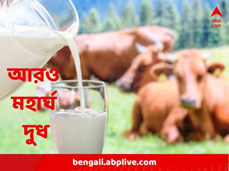 Mother dairy hikes milk price again fourth time this year Milk Price: ফের দাম বাড়ল মাদার ডেয়ারি দুধের, সোমবার থেকেই নয়া মূল্য, চলতি বছরে চতুর্থ বৃদ্ধি