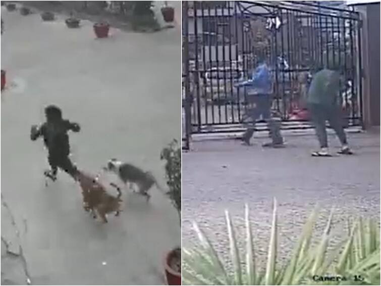 Viral Video: 11-Year-Old's Narrow Escape As Dogs Chase Her In Ghaziabad Viral Video: అదృష్టం బాగుంది- కుక్కల నుంచి త్రుటిలో తప్పించుకున్న చిన్నారి!